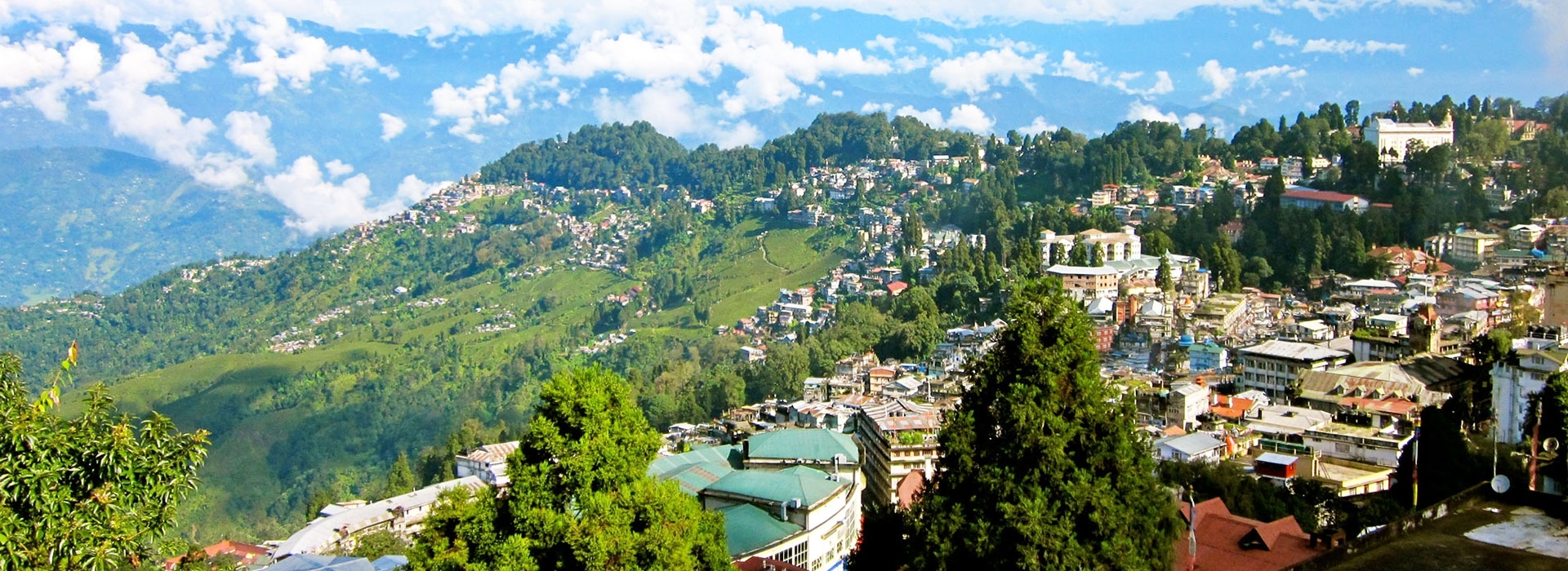 Voice of Darjeeling