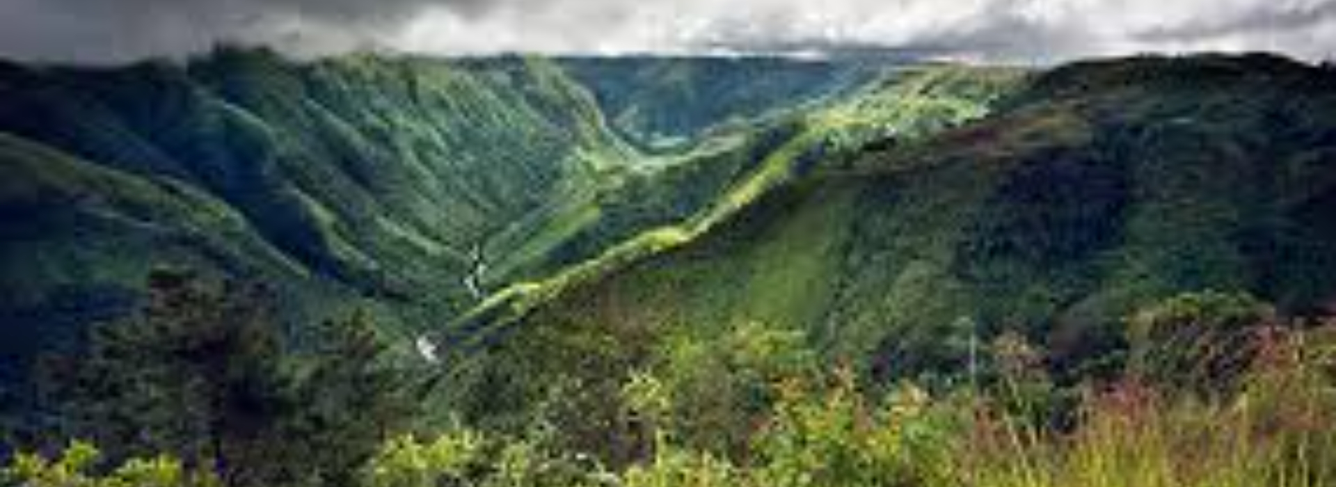 MEGHALAYA THE WONDER OF NATURE